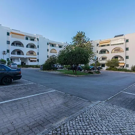 Salgados 1 By Homing *